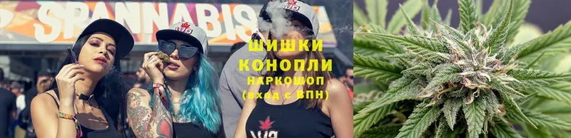 Марихуана THC 21%  сколько стоит  Берёзовка 